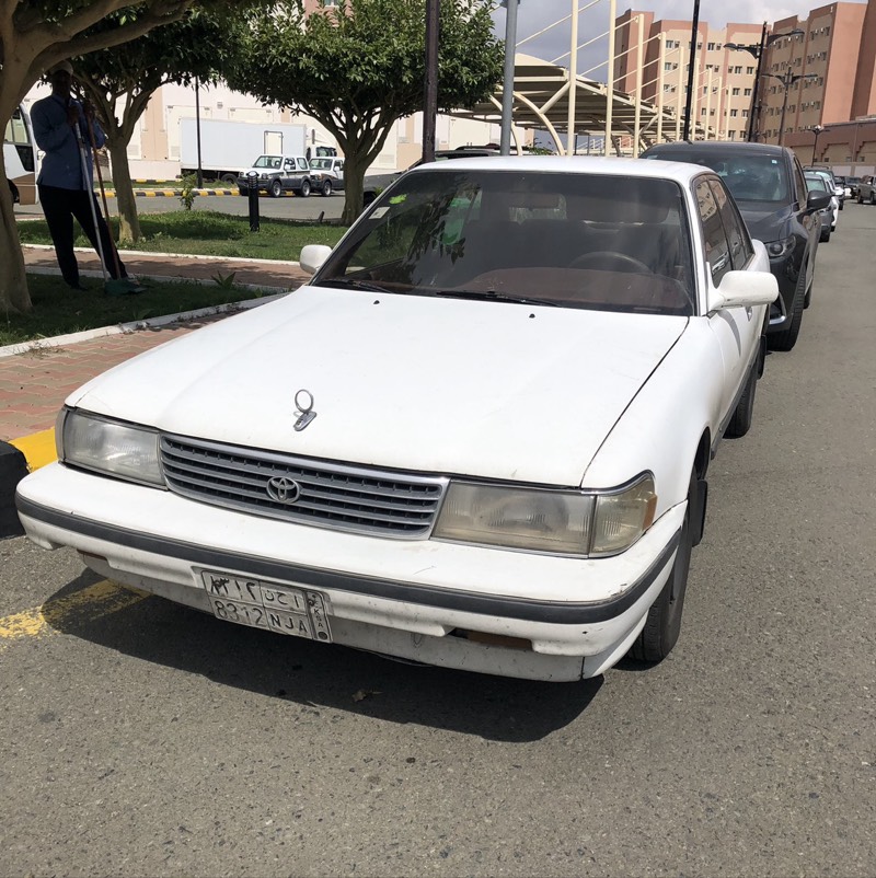 قشرة طبلون