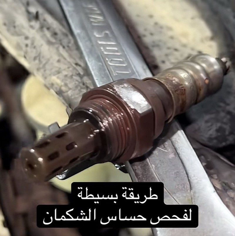 حساس شكمان