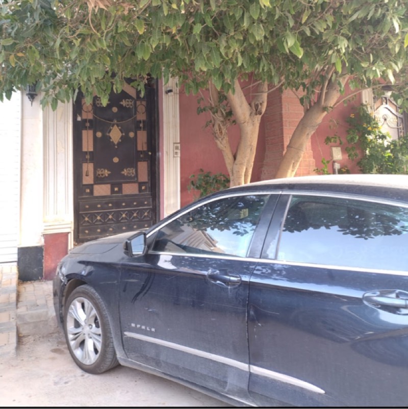 صدام امامي