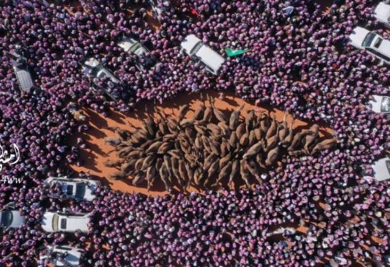 قفل باب سواق