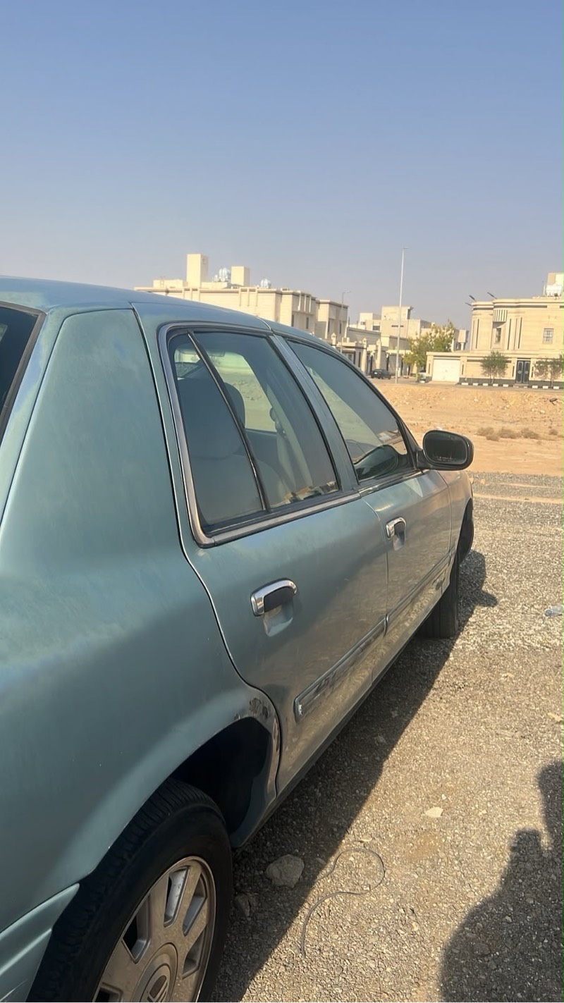 2010 بحري