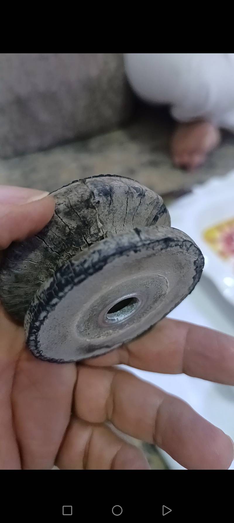 جلدة شاصية