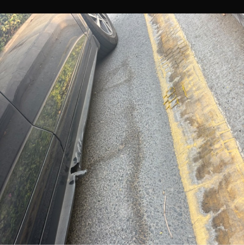 السمكة الجانب الايمن