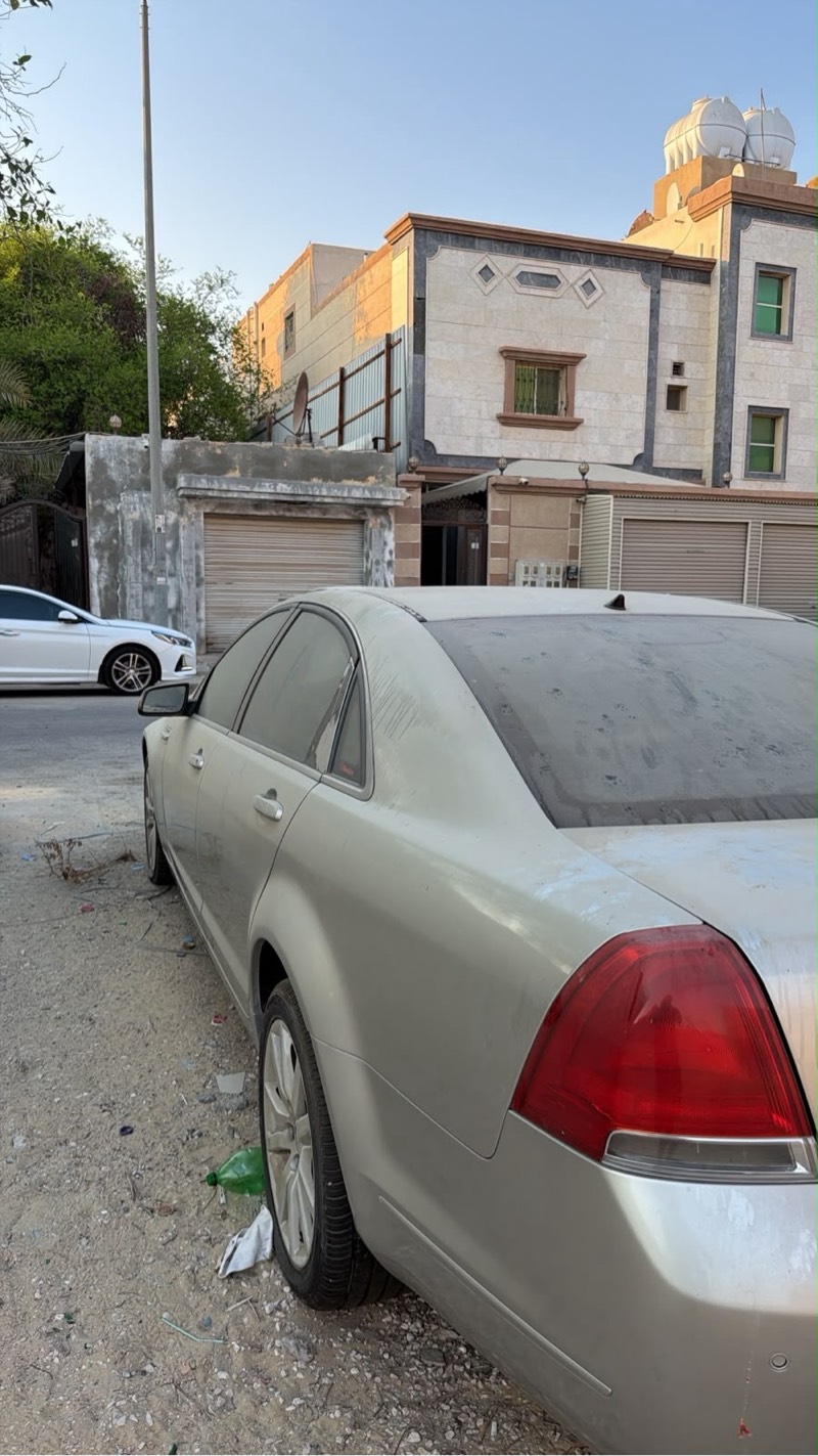 كابرس ٢٠١٠فضي