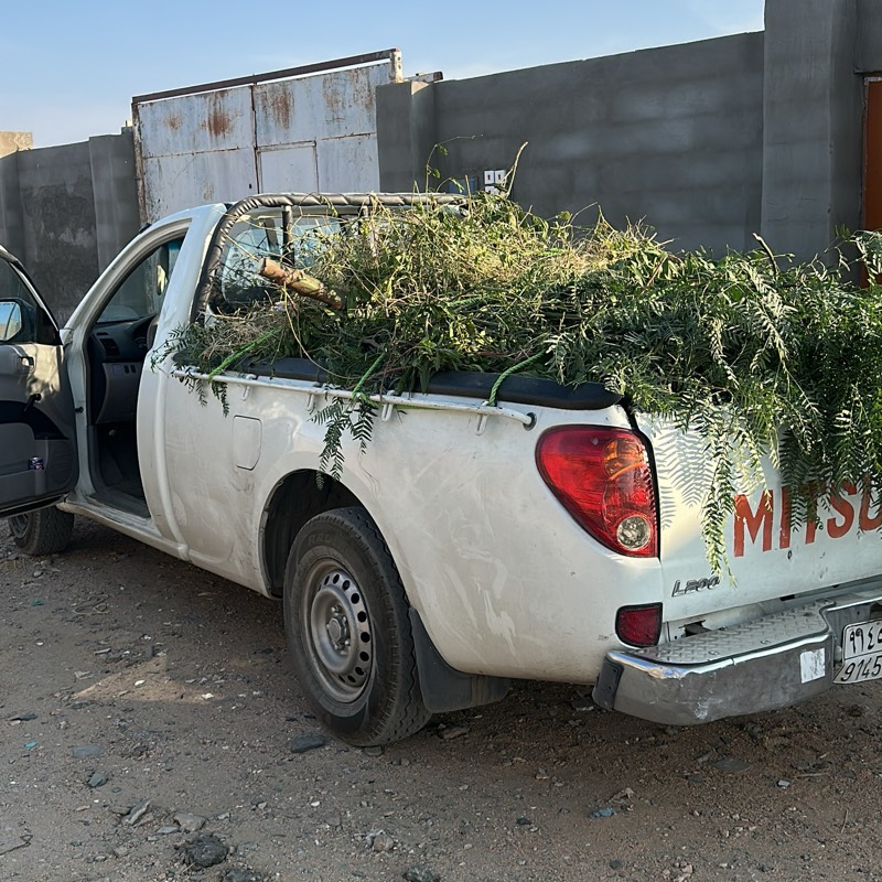 مكينه
