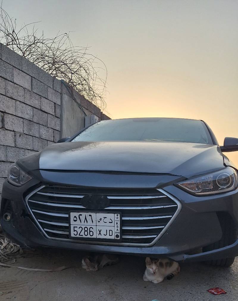 صدام امامي