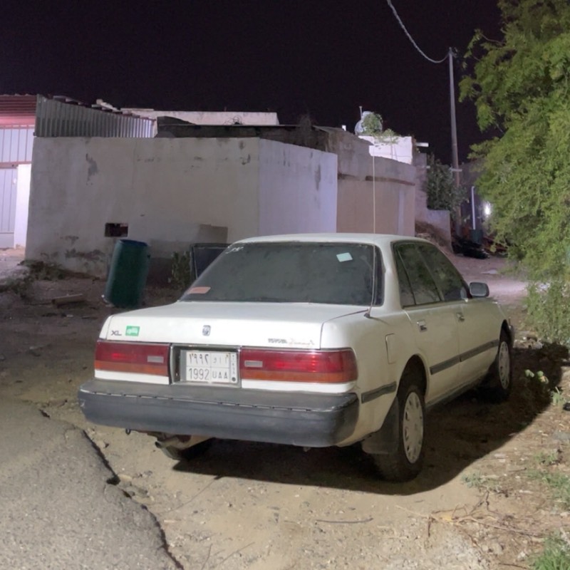 كرسيدا - ابيض
