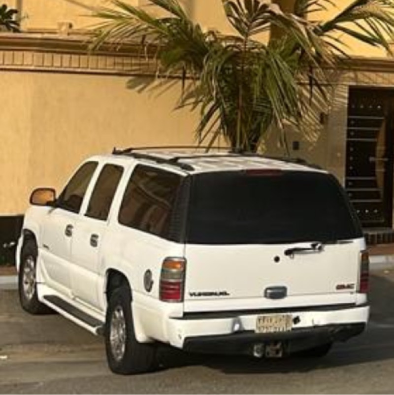 دينالي xl طويل